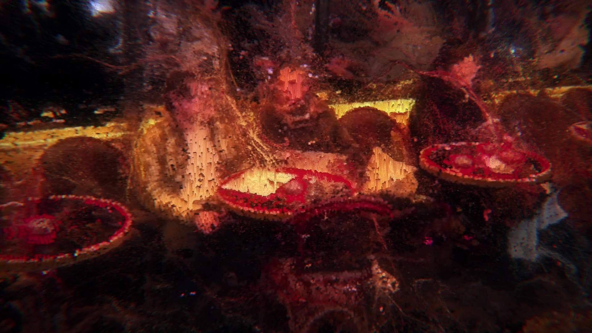 What the City Leaves Within Us